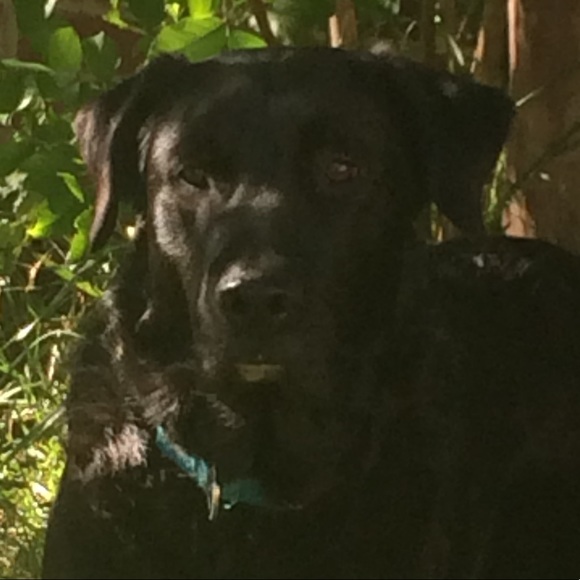 Meet your Posher, Audra - Picture 1 of 1